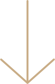 noun-arrow-down